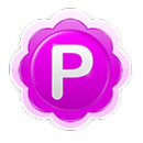 Pamela для Skype